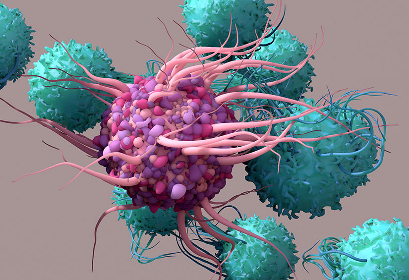 Bio-Engine powers CAR-T engraftment