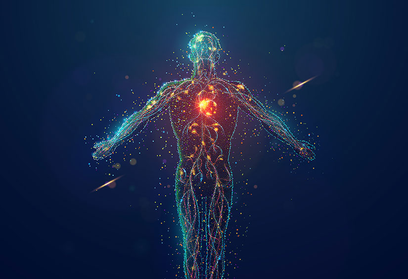 Bio4t2 cancer therapeutics